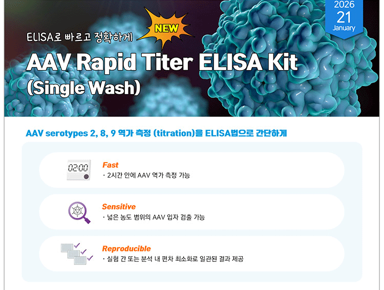 ��ī���ڸ��ƹ��̿��޵�Į(��)