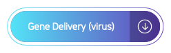 Gene delivery (virus)