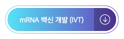 mRNA ��� ���� (IVT)
