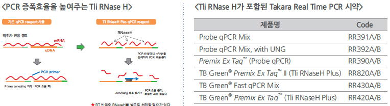 검사 원리 pcr PCR(유전자증폭) 검사란?