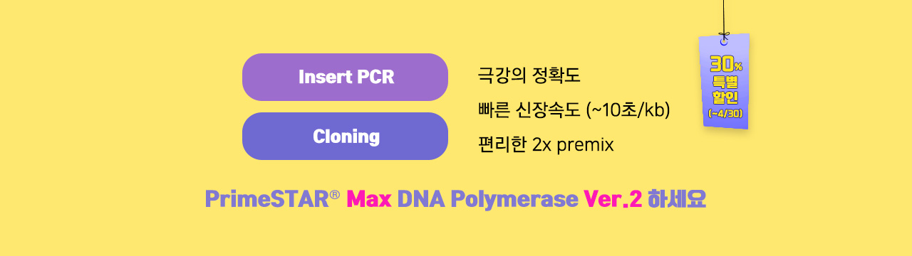 First slide