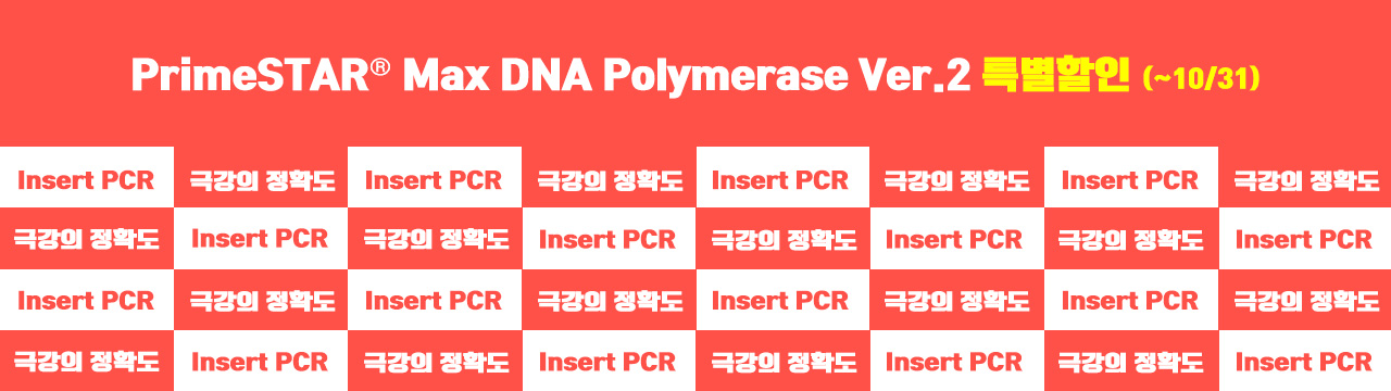 Second slide